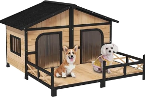 Lovely dog house